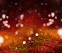 秋天红色的枫叶在一个橙色的背景与散焦