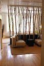 Tree Branch Room Divider. Do this instead of wall for bathroom. Leave the branches on to hang clothes on, towels on the other side. O how cute!!: 