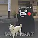 怎么肥似