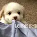 采集图片