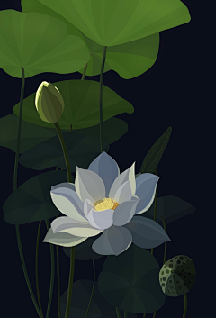 一米七哈哈采集到插画-练习