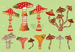 森林,多样,毒蘑菇,季节,秋天,夏天,式样,艺术,自然,生长