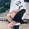 拾壹mio
