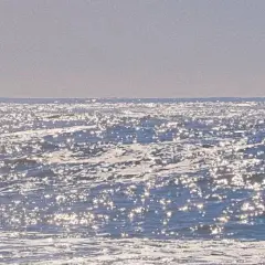 @爱收壁纸的泡芙小姐 的个人主页 - 微博