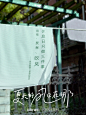 好舒服~是哪里吹来一阵小凉风？ - 小红书