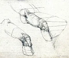 腿部结构膝盖的绘画解析，学画画素材分享（年轻人，怕爆肝吗？不怕就戳这里→：°欲学此课，必先成魔！九关过，业可成！） #手绘# #插画# ​​​​