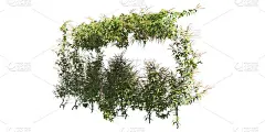 攀缘植物爬行者隔离在白色背景3d插图