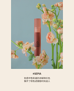 許娘-采集到化妆品