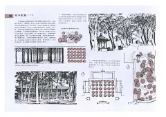 中国古典园林分析_页面_159