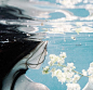 Underwater、Elena Kalis水下摄影、侧面、头像、摄影、众生、花、花痴、五颜六色、没有小清新、只有女流氓、杂七杂八、素材