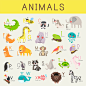 Animals