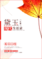 [红楼]黛玉现代生活录