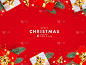 圣诞和新年设计。圣诞红的背景。节日海报，贺卡，网站横幅