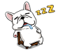DOCA II - LINE 个人原创贴图 : The collection of cute dogs and cats in DOCA.