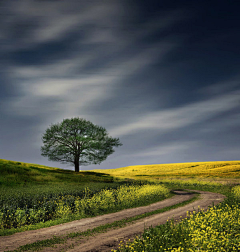 云里采集到The road