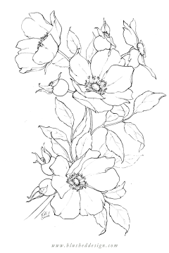 云淡风轻fanyun采集到线条装饰画