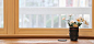 简约,家居,窗户,花瓶,文艺范,背景装饰,海报banner,文艺,小清新图库,png图片,,图片素材,背景素材,3668578北坤人素材@北坤人素材