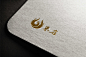 朱雀 logo设计 设计人™品牌 投标-猪八戒网