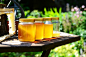 Honey, Jars, Harvest, Bees, Frame, Garden, Crop, Golden