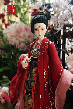 落花king采集到bjd