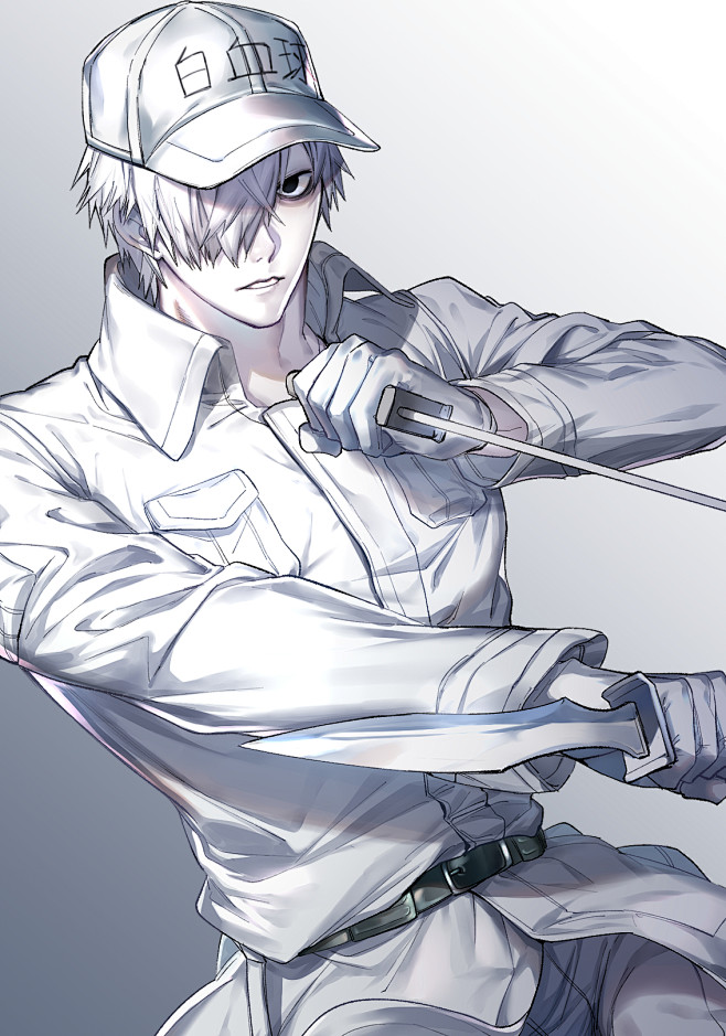 工作细胞白血球