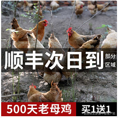天猫直通车