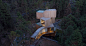 Tree House hotel