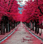 El Escorial, Madrid, Spain