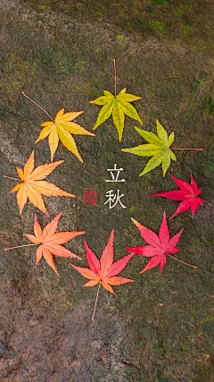 珍藏版丨中国二十四节气手机壁纸，绝美！