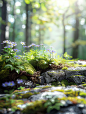 yuanhaoyang_Empty_background_product_photography_forest_style_s_4a630582-fa85-418e-bd66-380243ca563f