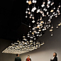 Dispersion I.Rain - OLED Light - Blackbody