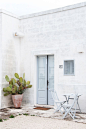 Masseria Cimino Hotel Puglia Italy 2014 / Renae Smith 