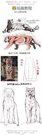教程第二弹
大猫系列之 

荣幸与云山老师合作！她超强的➡️@不可拔毛 ⬅️

感谢喜欢欢迎转发但请勿抹去水印转载
【请大家转发时用代替本篇主角名字哦，不然可能无法转载 方便你我他～】
#动物##绘画##furry# ​​​​