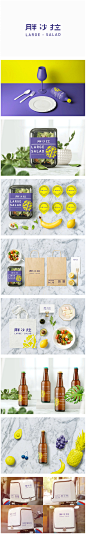 胖沙拉品牌字体标志及包装设计_平222