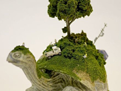 SylviaP_P采集到植物