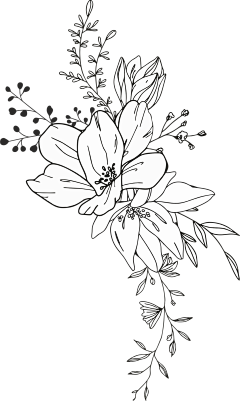 赵大涵采集到花卉元素