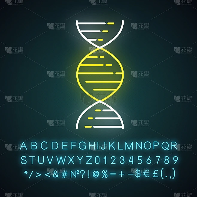 DNA双螺旋霓虹灯图标。脱氧核糖核酸，核酸结构。分子生物学。遗传密码。遗传学。有字母、数字和符号的发素材-花瓣网