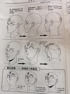 画舫｜纸鸢采集到学习