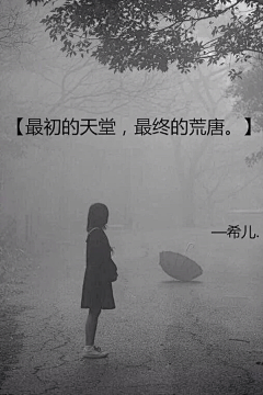 花不欲采集到情话