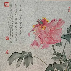 师书堂 冯东东 没骨花鸟系列 牡丹 国画 水墨 名家 38x46cm-淘宝网