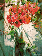 植物与光
Michael Dudash