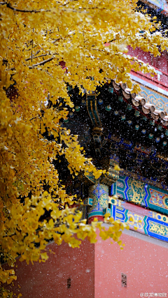 ♥锋雨同露♀采集到说走就走的旅行