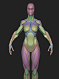 Stylized Female Blockout v1