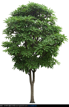 徐老师的摄影课采集到光影素材