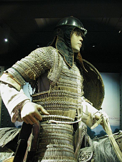 江阳采集到藏甲
