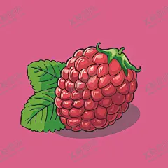 手绘树莓水果矢量插图卡通美食 【酷图网】水果,植物,食物,果盘,手绘,插图,矢量,涂鸦,卡通,插画,简笔画,儿童插画,树莓,覆盆子,鲜果,果汁,浆果