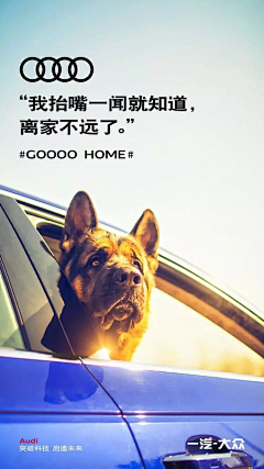 林home采集到汽车