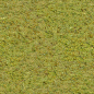 Grass0030_3_M