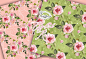 水彩英国玫瑰数码纸图案设计素材 Watercolor English Roses digital paper pack - 设汇