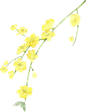立春水墨节气插画-迎春花